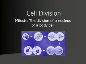 Cell Division Mitosis The division of a nucleus