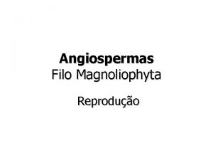 Ciclo reprodutivo angiospermas