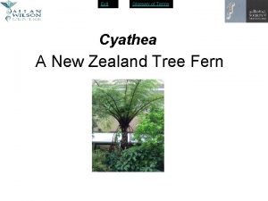 Exit Glossary of Terms Cyathea A New Zealand