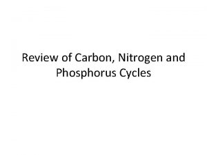Review of Carbon Nitrogen and Phosphorus Cycles The