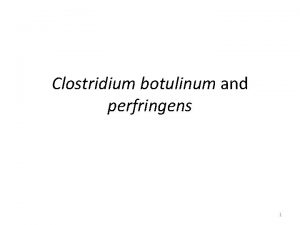 Clostridium botulinum and perfringens 1 Characteristics of Clostridium