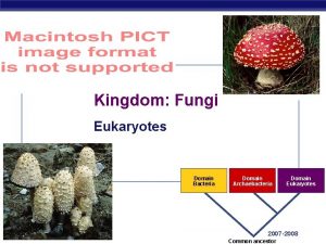 Kingdom Fungi Eukaryotes Domain Bacteria AP Biology Domain