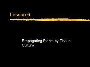 Lesson 6 Propagating Plants by Tissue Culture Next