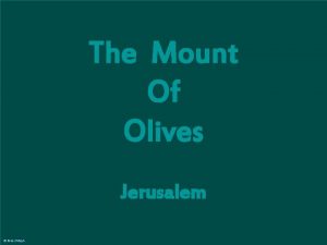 Mount of Olives Jerusalem The Mount Of Olives
