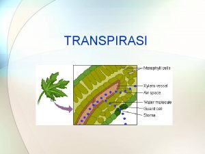 Transpiration is the evaporation of water from Transpiration is the evaporation of water from
