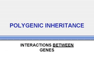 POLYGENIC INHERITANCE INTERACTIONS BETWEEN GENES Polygenic inheritance When