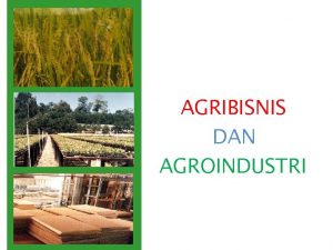 TOPIK 12 AGRIBISNIS DAN AGROINDUSTRI AGRIBISNIS SEBAGAI SUATU