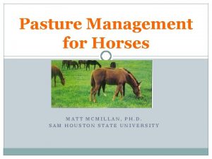 Pasture Management for Horses MATT MCMILLAN PH D