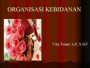 ORGANISASI KEBIDANAN Vita Triani A P S Si