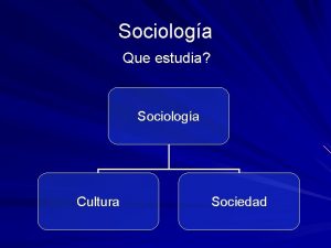 Que estudia la sociologia