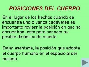 Posiciones del cuerpo