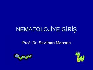 NEMATOLOJYE GR Prof Dr Sevilhan Mennan Ana Balklar