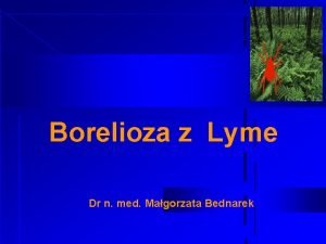 Borelioza z Lyme Dr n med Magorzata Bednarek