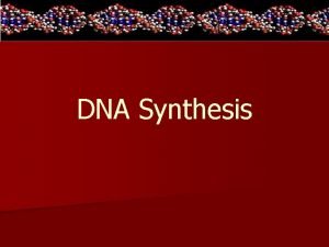 DNA Synthesis n When must DNA remake itself