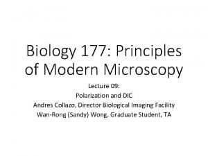 Biology 177 Principles of Modern Microscopy Lecture 09