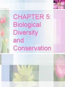 CHAPTER 5 Biological Diversity and Conservation Penguins are