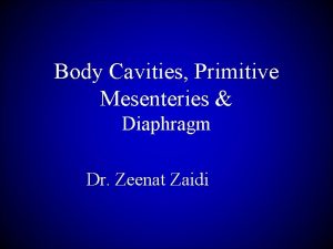 Body Cavities Primitive Mesenteries Diaphragm Dr Zeenat Zaidi