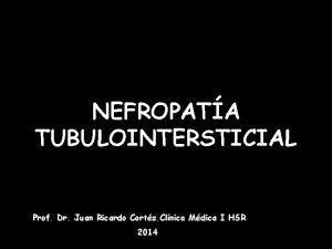 NEFROPATA TUBULOINTERSTICIAL Prof Dr Juan Ricardo Corts Clnica