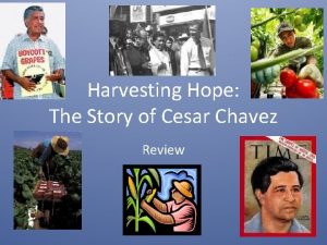 Harvesting Hope The Story of Cesar Chavez Review