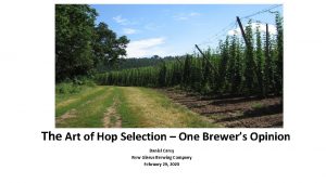 The Art of Hop Selection One Brewers Opinion