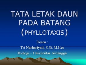 Spirostik dan parastik Spirostik dan parastik