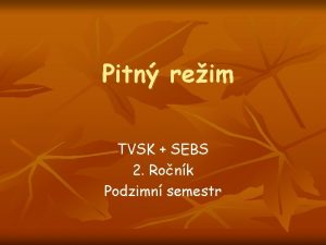 Pitn reim TVSK SEBS 2 Ronk Podzimn semestr