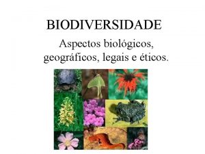 BIODIVERSIDADE Aspectos biolgicos geogrficos legais e ticos DEFINIO