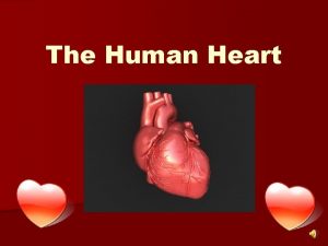 Chambers of heart diagram