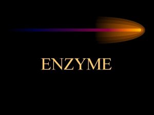 Characteristics of enzyme
