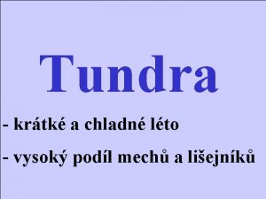 Mechy tundra