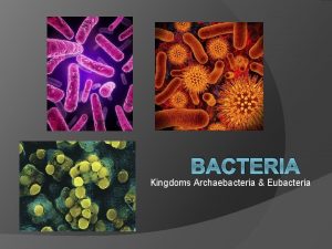 Struktur archaebacteria