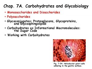 Chap 7 A Carbohydrates and Glycobiology Monosaccharides and