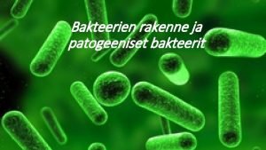 Bakteerien rakenne ja patogeeniset bakteerit Bakteerista yleisesti Bakteeri
