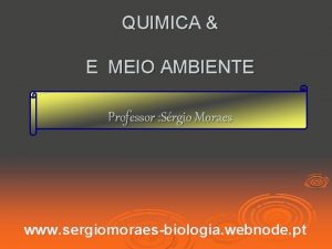 QUIMICA E MEIO AMBIENTE Professor Srgio Moraes www