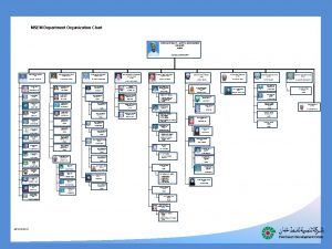 MSEM Department Organization Chart CORPORATE HEALTH SAFETY ENVIRONMENT