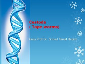 Cestoda Tape worms Assis Prof Dr Suhad Faisal
