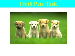 Unit 8 pets