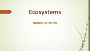 Ecosystems Natural Selection Options for Navigation Table Ecosystems