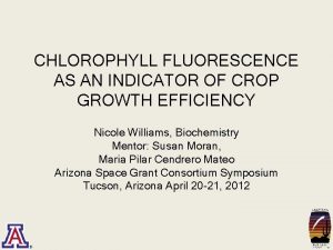 CHLOROPHYLL FLUORESCENCE AS AN INDICATOR OF CROP GROWTH