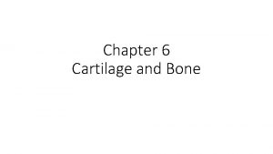 Chapter 6 Cartilage and Bone Functions of cartilage