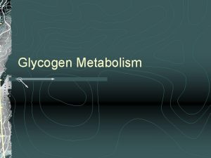 Glycogen Metabolism Glycogen Metabolism What is the importance