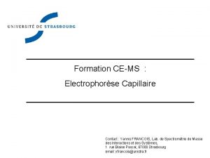 Formation CEMS Electrophorse Capillaire Contact Yannis FRANCOIS Lab