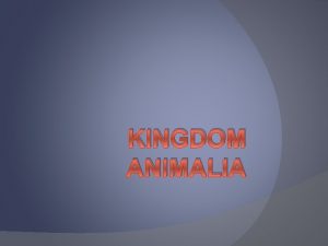 KINGDOM ANIMALIA KARAKTERISTIK ANIMALIA 1 Multiseluler 2 Tanpa
