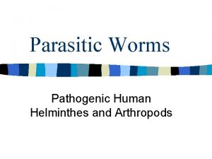 Parasitic Worms Pathogenic Human Helminthes and Arthropods Characteristics