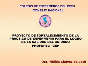 COLEGIO DE ENFERMEROS DEL PERU CONSEJO NACIONAL PROYECTO