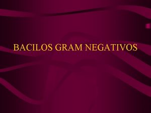 BACILOS GRAM NEGATIVOS ENTEROBACTERIAS v BACILOS GRAM v
