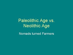 Paleolithic age characteristics