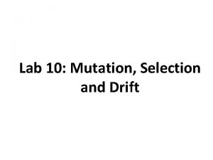 Lab 10 Mutation Selection and Drift Goals 1