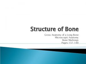 Structure of Bone Gross Anatomy of a Long