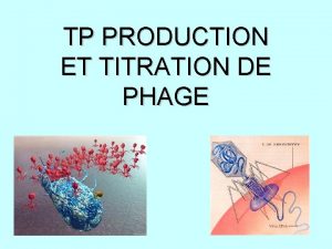 TP PRODUCTION ET TITRATION DE PHAGE BACTERIOPHAGE P